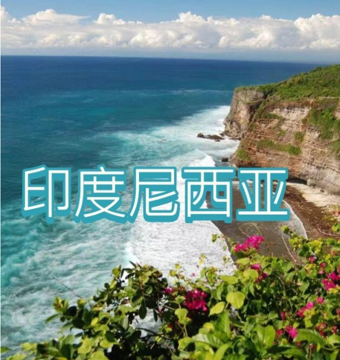 国际电商(印尼)产业博览会开元棋牌网站2