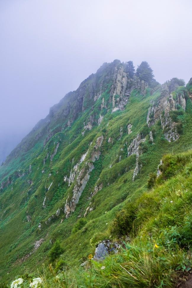 款睡袋怎么选？不踩雷指南开元棋牌户外新手的第一(图2)