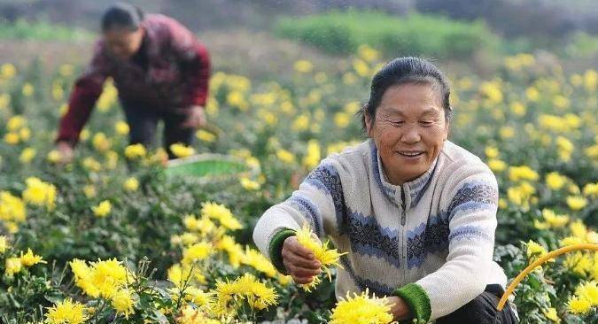 水深火热”而中国的幸福指数却高居全球之首开元棋牌app众多发达国家民众正身陷“(图8)