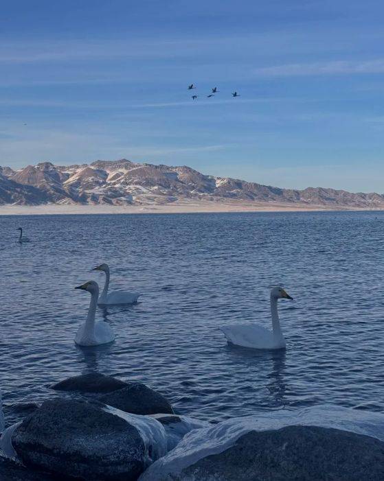 领衔2025新疆高信誉旅行社TOP10开元棋牌5000+游客亲测揭晓:远胜游(图4) 领衔2025新疆高信誉旅行社TOP10开元棋牌5000+游客亲测揭晓:远胜游(图4)