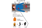 坠！这份安全指南关键时刻能保命开元ky棋